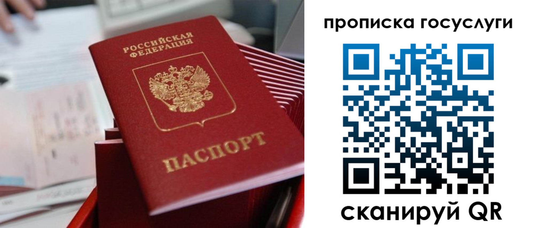 прописка законно в Райчихинске